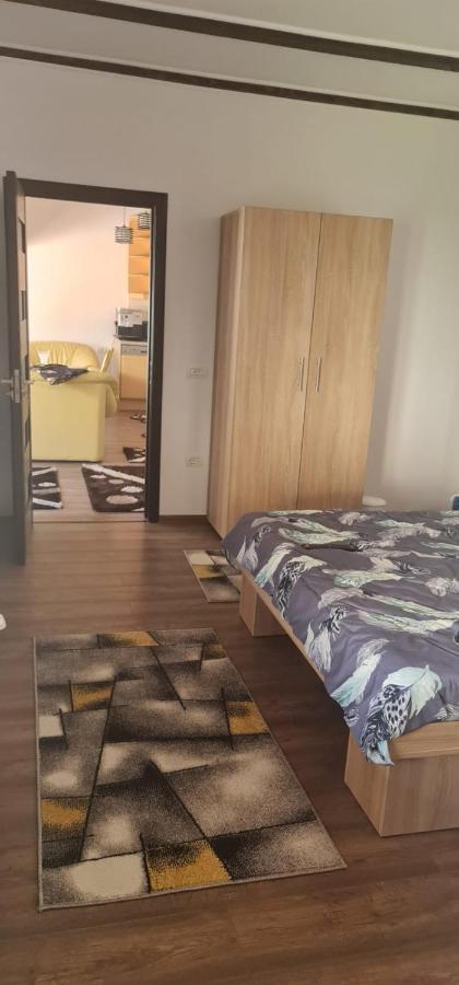 La Ovi 호텔 Făgăraş 외부 사진